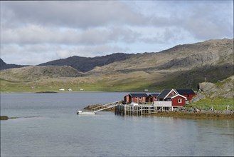 Red wooden houses on the coast