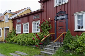 Red wooden house with a red climbing rose