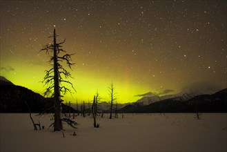 Aurora Borealis