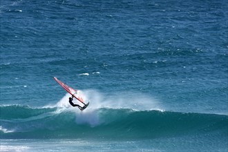 Wind surfer