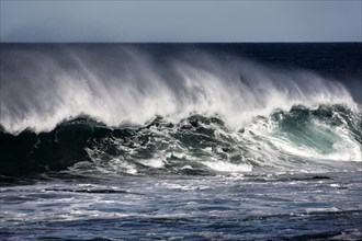 Breaking ocean wave