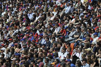 Audience in the stands