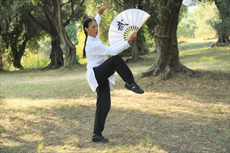 Tai Chi performed with a fan