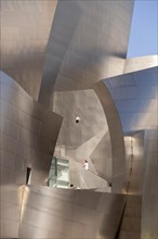 Walt Disney Concert Hall by Frank Gehry