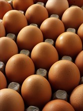 Range of fresh organic free range eggs from Burford Brown hens