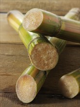 Sticks of raw sugar cane