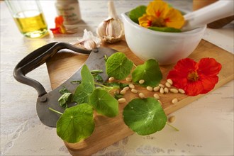 Nasturtium leaves being prepared for a salad