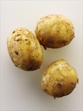 Fresh organic new Jersey potatoes