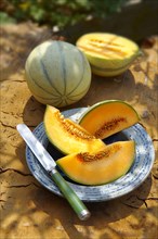 Charentais melons