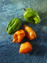 Fresh 'Scotch Bonnet' chilis