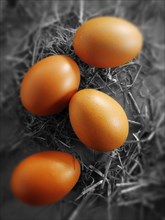 Fresh brown organic free-range eggs