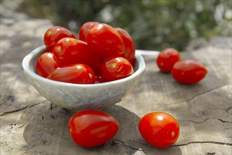 Fresh plum tomatoes