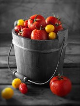 Mixed tomatoes in a bucket