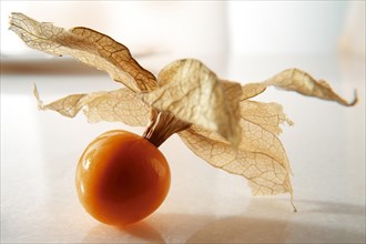 Cape gooseberry (Physalis peruviana)