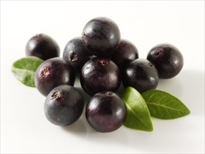 Acai berries (Euterpe oleracea)