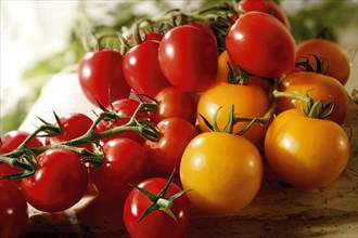 Red and yellow tomatoes and plum tomatoes