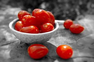 Fresh Plum tomatoes