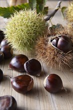 Organic chestnuts (Castanea sativa)