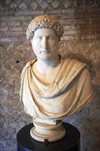 Marble statue bust of Emperor Hadrian