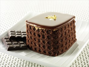 Cake with a sponge case and chocolate filling
