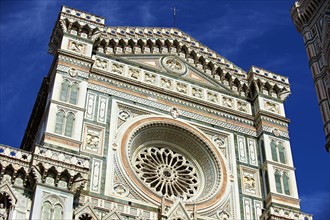 Rose window and facade of the Duomo of Florence