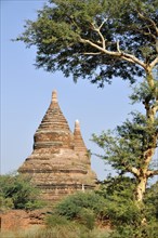 Pagodas in Bagan Pagoda Field