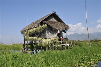 Straw hut on stilts