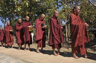Buddhist monks collecting alms