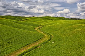 Hilly fields in the Crete Senesi region