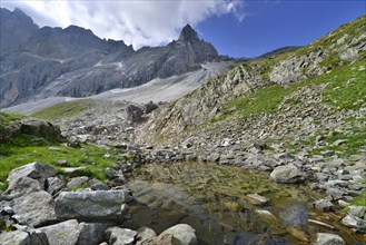 Small mountain lake in front of Pflerscher Tribulaun