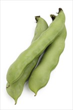 Broad beans (Vicia faba)