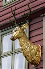Golden deer on a house in the historic Hanseatic Quarter