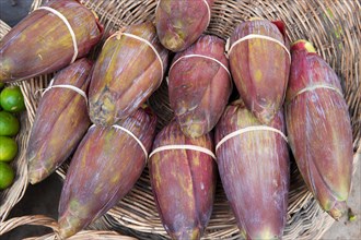 Banana flowers for sale at a market