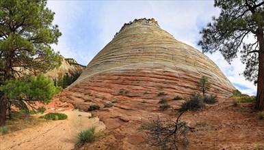 The Checkerboard Mesa