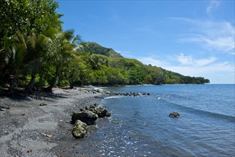 Coastal landscape