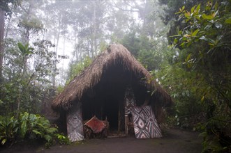 Hut in a tribal village