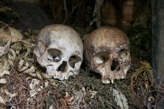 Human skulls in a tribal village