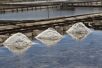 Salt production in a lagoon