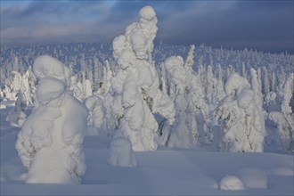 Fjell in winter