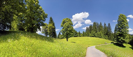 Path to Wamberg Mountain with a mountain forest