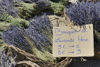 Lavender for sale