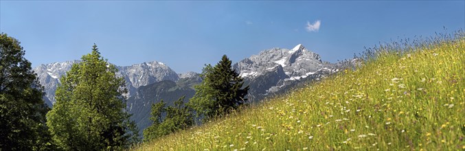 Green meadow on Eckbauer Mountain