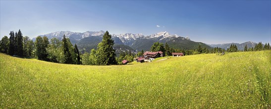 Green meadow on Eckbauer Mountain