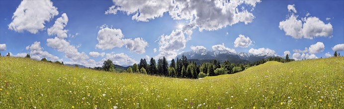 Green meadow on Eckbauer Mountain