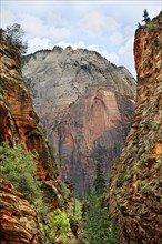 Narrow gorge en route to Angels Landing on the West Rim Trail with views of the Great White Throne