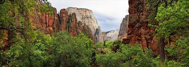 Lush green vegetation and red sandstone cliffs at the Temple of Sinawava with views of the Great White Throne