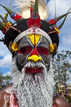 Man in a colourfully decorated costume with face paint at the traditional sing-sing gathering