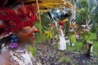 Tribe with colourful decorations and face paint is celebrating at the traditional Sing Sing gathering in the highlands