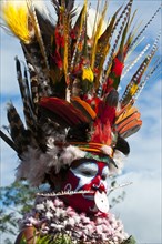 Member of a tribe in a colourfully decorated costume with face paint at the traditional sing-sing gathering