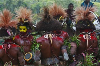 Colourfully decorated and painted men celebrating the traditional Sing Sing in the highlands